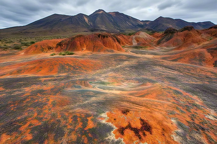 土壤重金屬污染 土壤重金屬污染