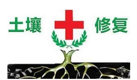 土壤重金屬污染修復