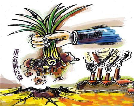 土壤重金屬污染修復(fù)